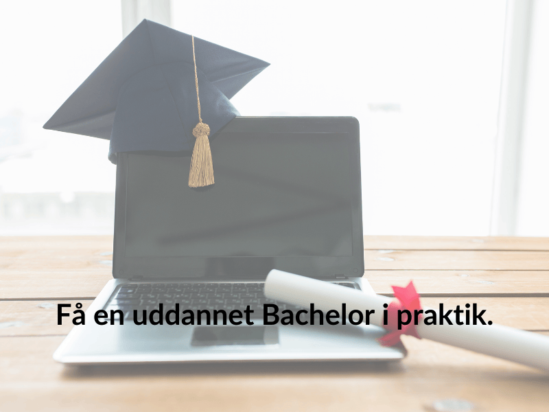 Få en uddannet Bachelor i praktik