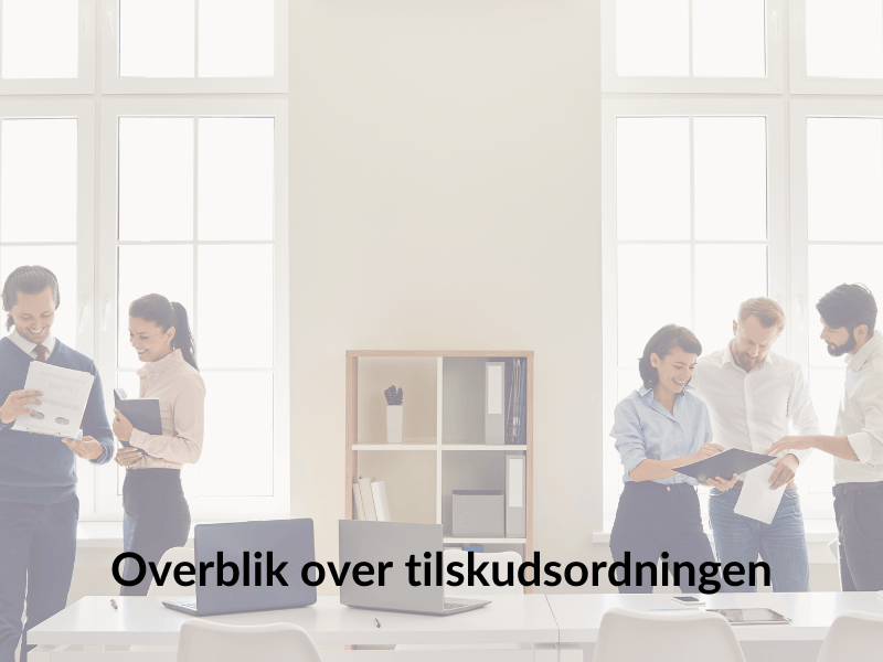 Overblik over tilskudsordningen